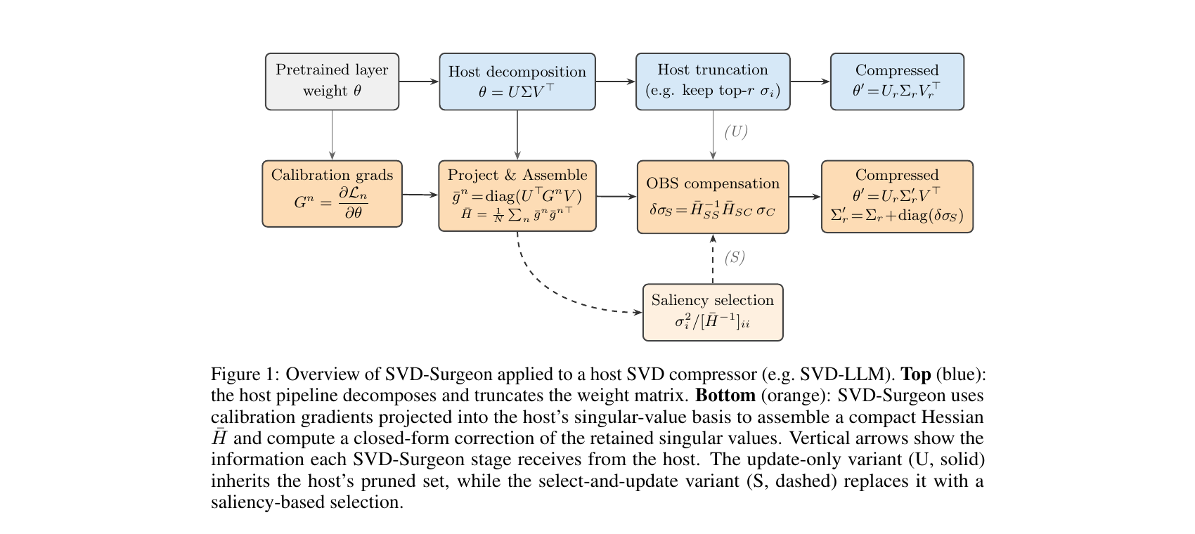 图1(对应论文Fig.1):SVD-Surgeon叠加在宿主SVD压缩方法(例如SVD-LLM)之上的总览。上(蓝色):宿主流水线对权重矩阵做分解和截断。下(橙色):SVD-Surgeon用投影到宿主奇异值基底中的校准梯度组装紧凑的Hessian,并计算保留奇异值的闭式修正。