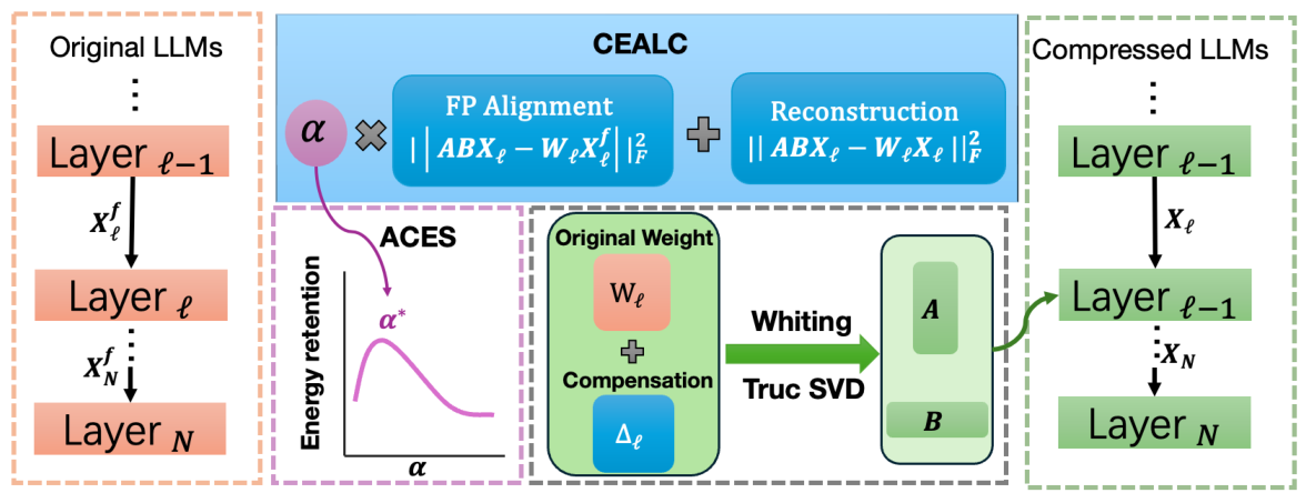 SAES-SVD framework