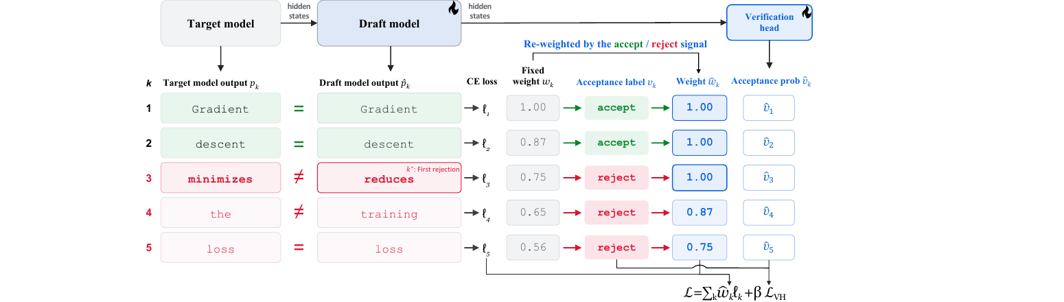 Figure 2 (paper Fig.1): VAT simulates verification at every training step and turns the resulting accept/reject pattern into two forms of supervision